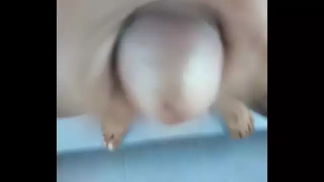 Indian hunk is jerking