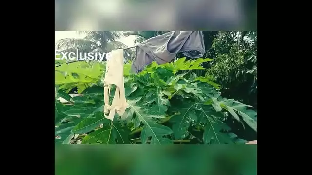 Desi wife bra and panty very sexy