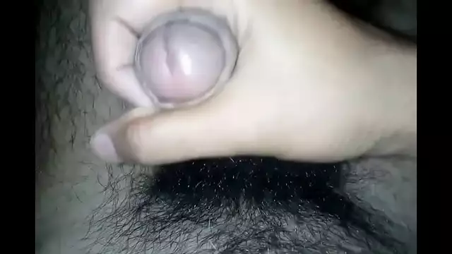 Desi land bhopal