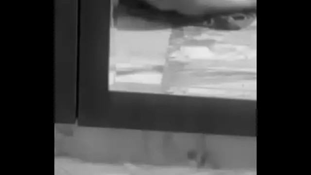 Snapchatt &commat;desibig big indian cock