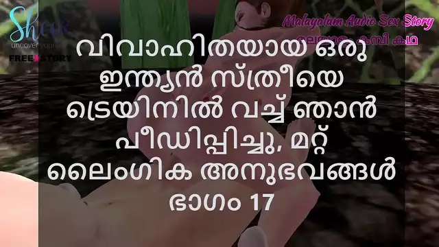 Malayalam Sex Story - I Fucked a Married Indian Woman in Train and other Sex Experiences Part 17