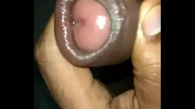 Indian cock Lund