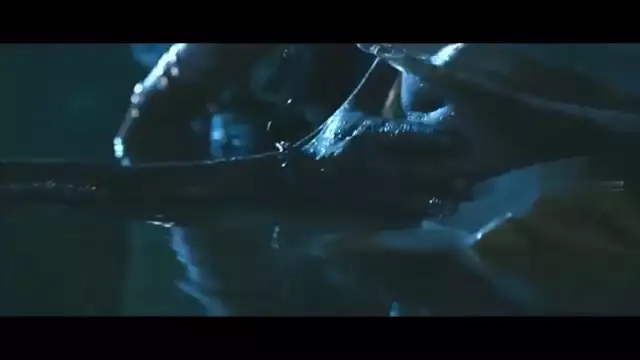 desi aunty navel press