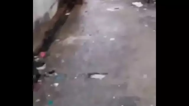 Indian bbw prostitute