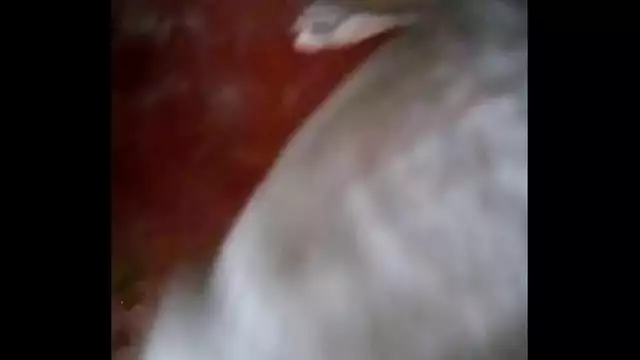 Desi big dick show