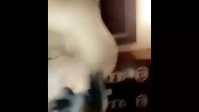 Shweta Malhotra Indian Model Blowjob