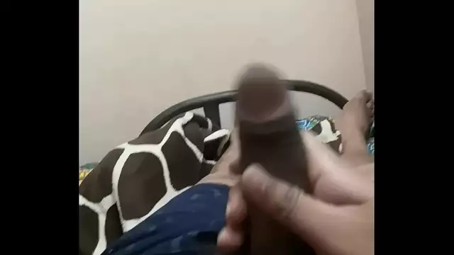 Indian cock