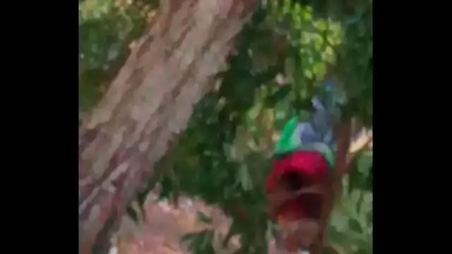 Indian maid aunty peeing outdoor-1