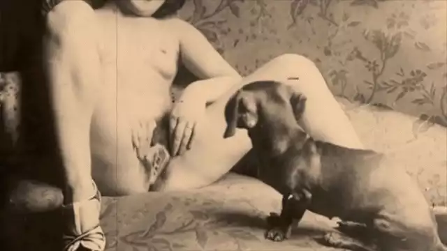 Revealed ~ The Top 20 Most Irresistible 'Pussy and Pooch' Combinations