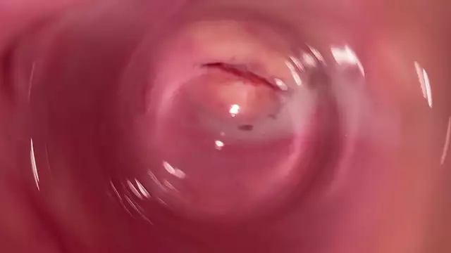 Relish in the Sensual Pleasures of a Tight and Creamy Vagina, From a Man's Perspective