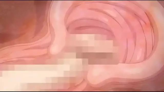 Japanese Enchantress Rikka Takarada Gets Pregnant ~ Siokarubi Video