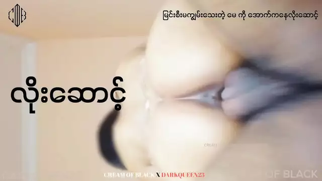 ASEAN's Enchantress ~ Exploring the Alluring Beauty of Myanmar's Women