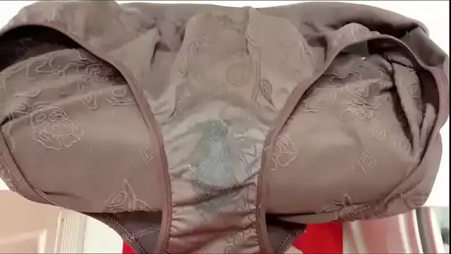 Experience My Taboo Fetish ~ Dirty and Smelly Panties in the Evening