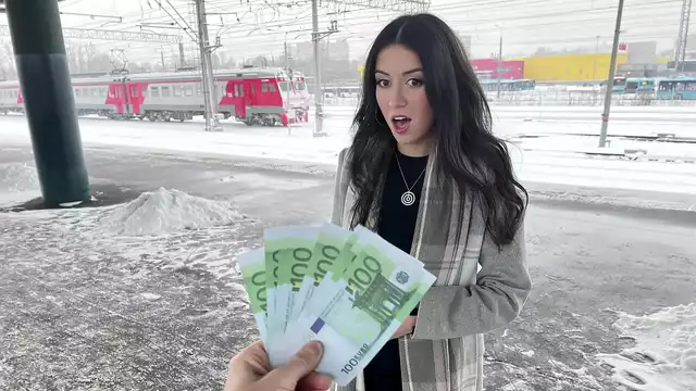 Japanese Beauty Gets Paid for Train Fucking